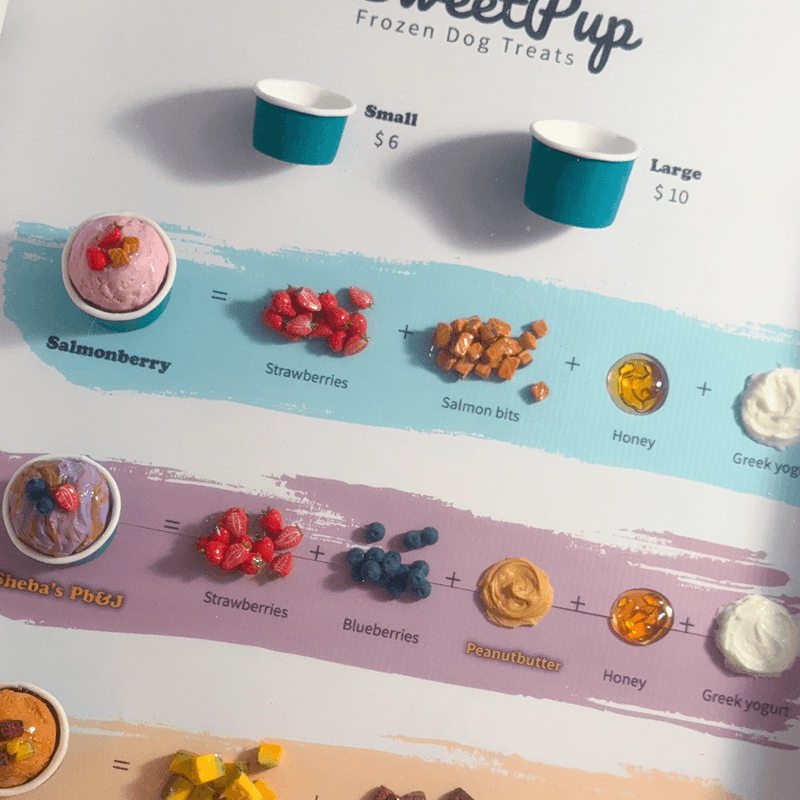 Miniature frozen dog-treat menu board for Sweetpup food truck, USA